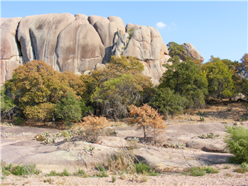 "Mspy Pro Apk Cracked