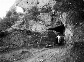 "Mspy Installation Iphone