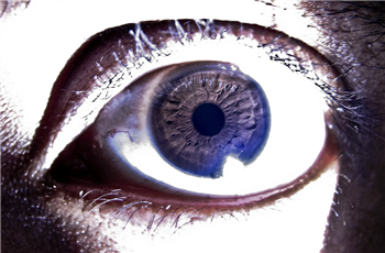 "Mspy Nasıl Yüklenir